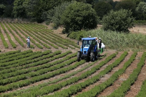 Çiftçi Kayıt Sistemi'ne başvurularda kolaylık sağlamak amacıyla düzenlemeye gidildi Çiftçi Kayıt Sistemi'ne başvurularda kolaylık sağlamak amacıyla düzenlemeye gidildi