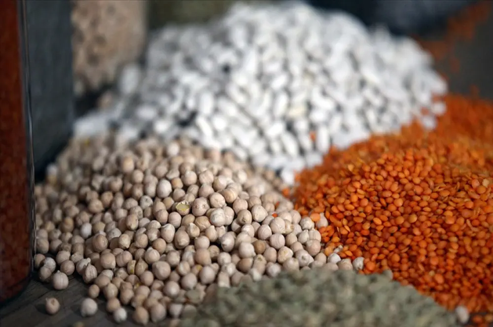 Hububat ve bakliyat ihracatı 11.5 milyar dolara ulaştı Hububat ve bakliyat ihracatı 11.5 milyar dolara ulaştı