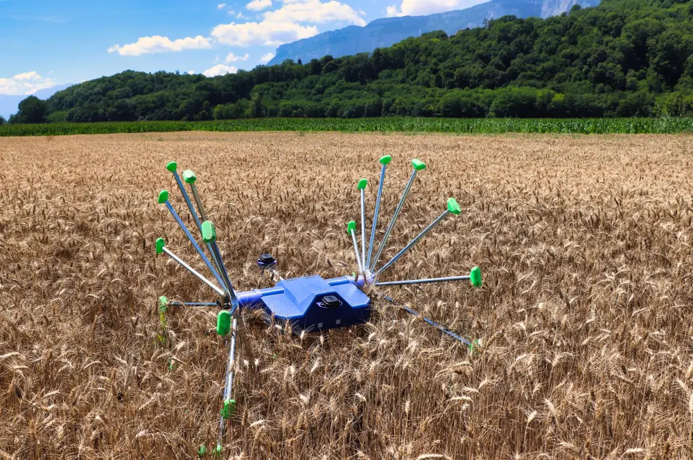 Tarlalardaki robot gözcü