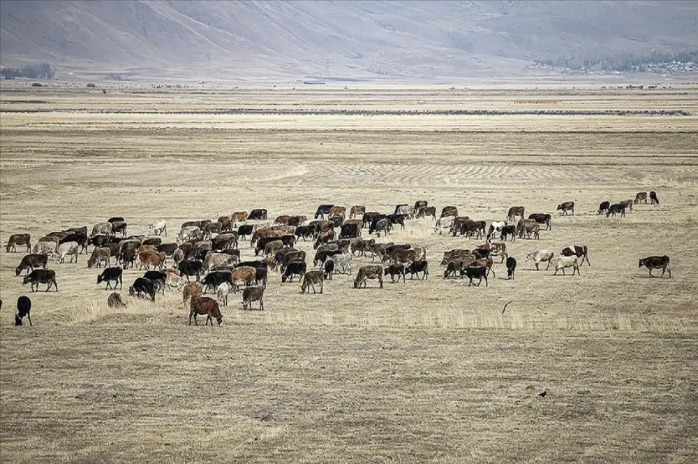 Depremzede çiftçilere yönelik alınan tedbirler Depremzede çiftçilere yönelik alınan tedbirler