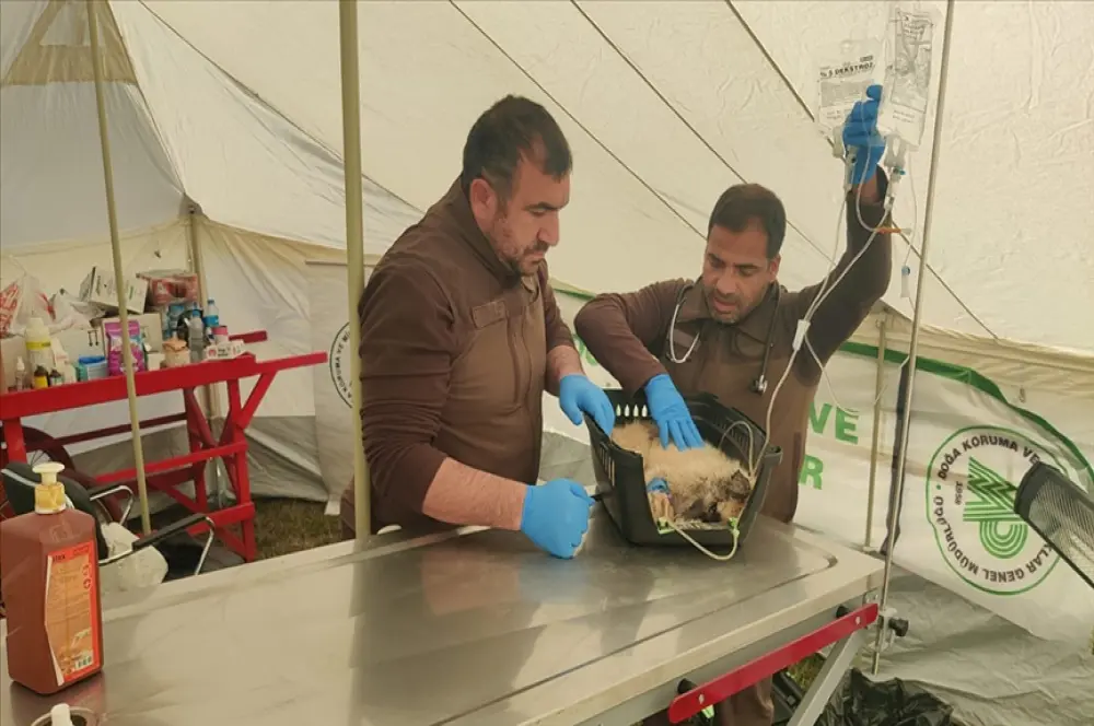 Deprem bölgesine hayvanlar için yem ve mama sevkiyatı sürüyor Deprem bölgesine hayvanlar için yem ve mama sevkiyatı sürüyor