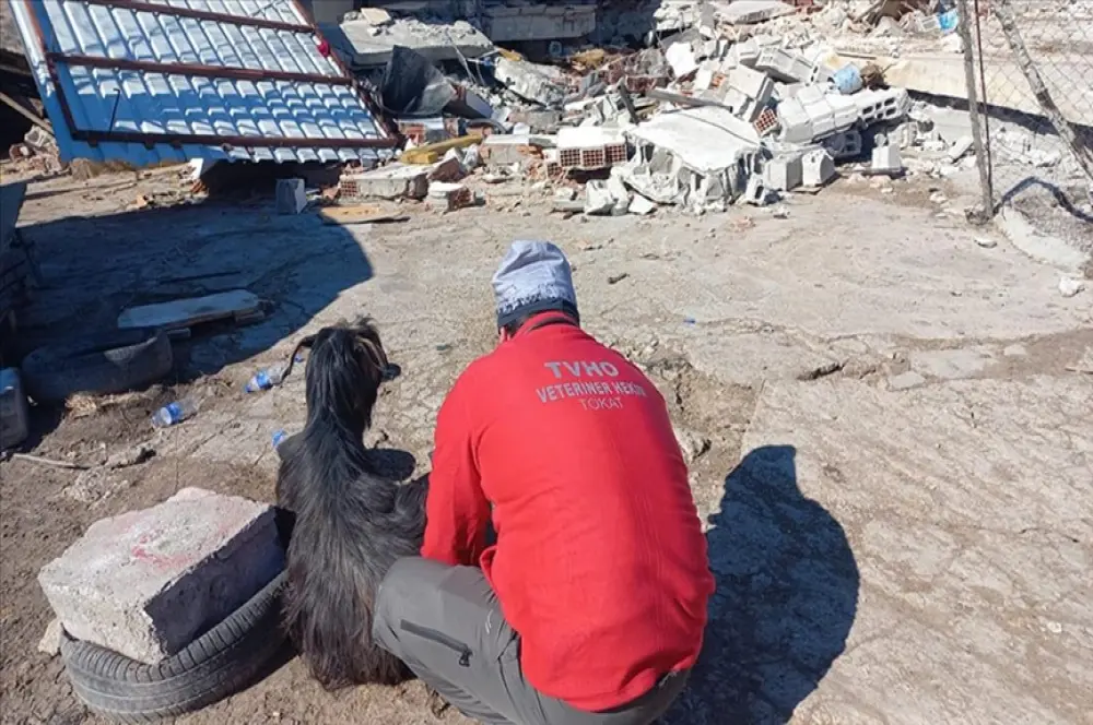 Tarım ve Orman Bakanlığının bazı mal ve hizmetleri ücretsiz verilecek Tarım ve Orman Bakanlığının bazı mal ve hizmetleri ücretsiz verilecek