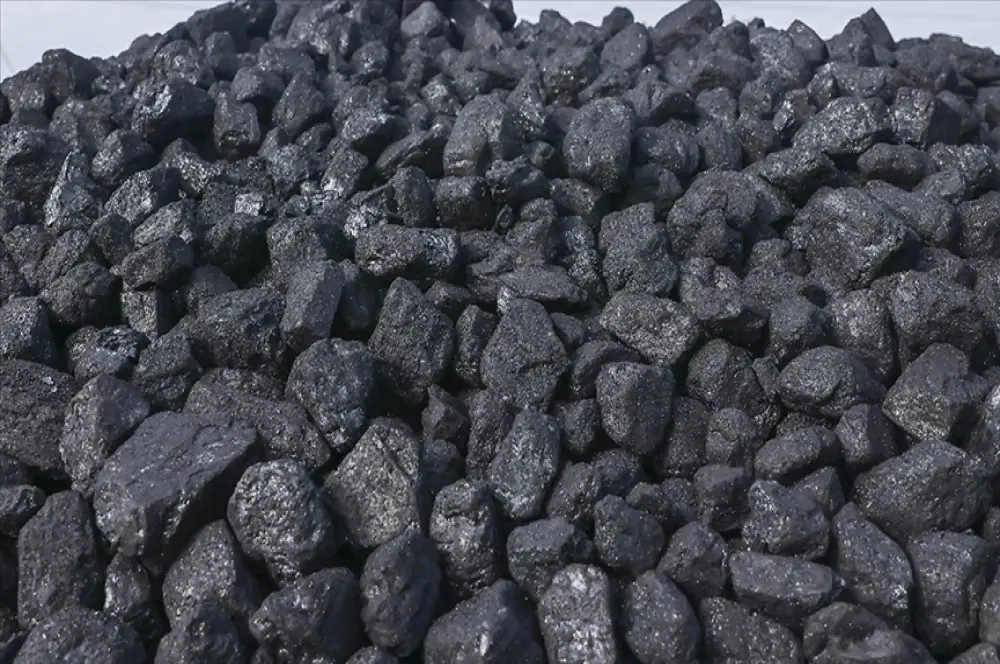 Rusya, yaptırımlara rağmen geçen yıl Almanya'nın en büyük kömür tedarikçisi oldu Rusya, yaptırımlara rağmen geçen yıl Almanya'nın en büyük kömür tedarikçisi oldu