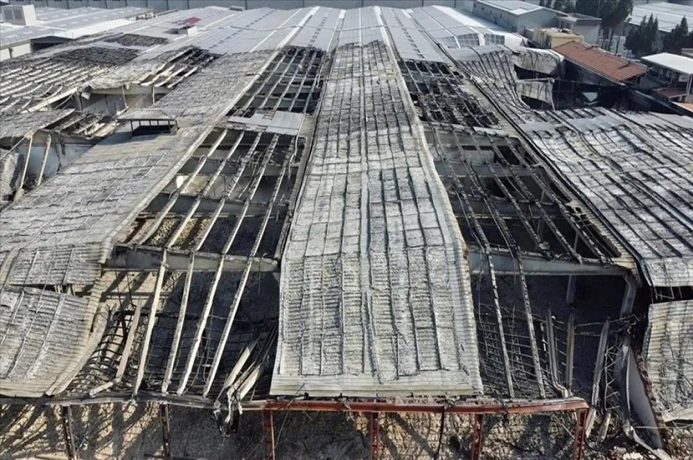 MÜSİAD'dan afet bölgesinde 'Üye Eşleştirme Sistemi' MÜSİAD'dan afet bölgesinde 'Üye Eşleştirme Sistemi'