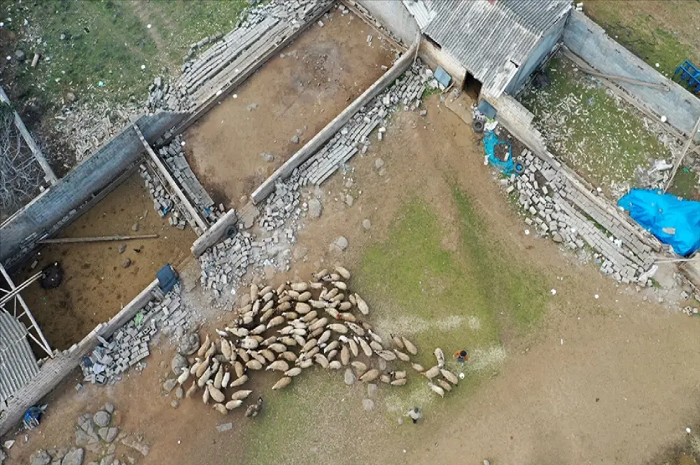TARSİM deprem bölgesinde 26 milyon TL hasar ödemesi yaptı TARSİM deprem bölgesinde 26 milyon TL hasar ödemesi yaptı