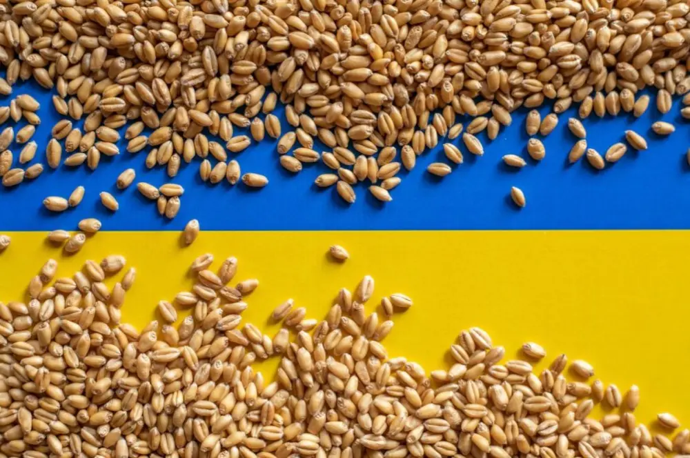 Ukrayna tahılının AB’ye gümrüksüz girmesi komşu çiftçileri rahatsız etti Ukrayna tahılının AB’ye gümrüksüz girmesi komşu çiftçileri rahatsız etti