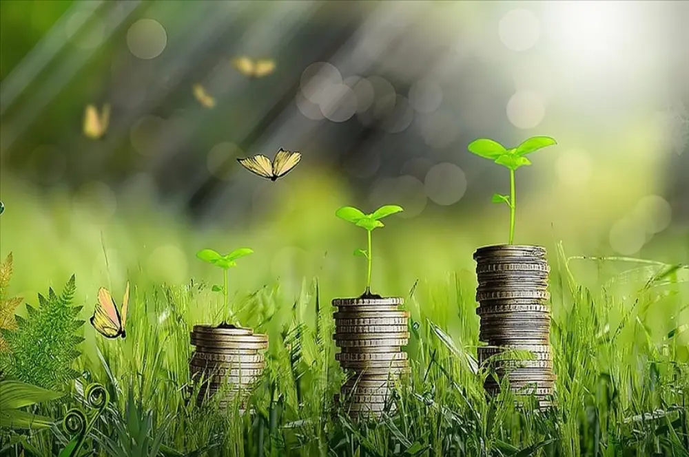Hazine'nin ilk yeşil tahvil ihracında 2.5 milyar dolarlık satış Hazine'nin ilk yeşil tahvil ihracında 2.5 milyar dolarlık satış