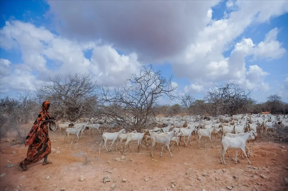 Kenya'da kuraklık nedeniyle 4 milyona yakın insan acil gıdaya ihtiyaç duyuyor Kenya'da kuraklık nedeniyle 4 milyona yakın insan acil gıdaya ihtiyaç duyuyor