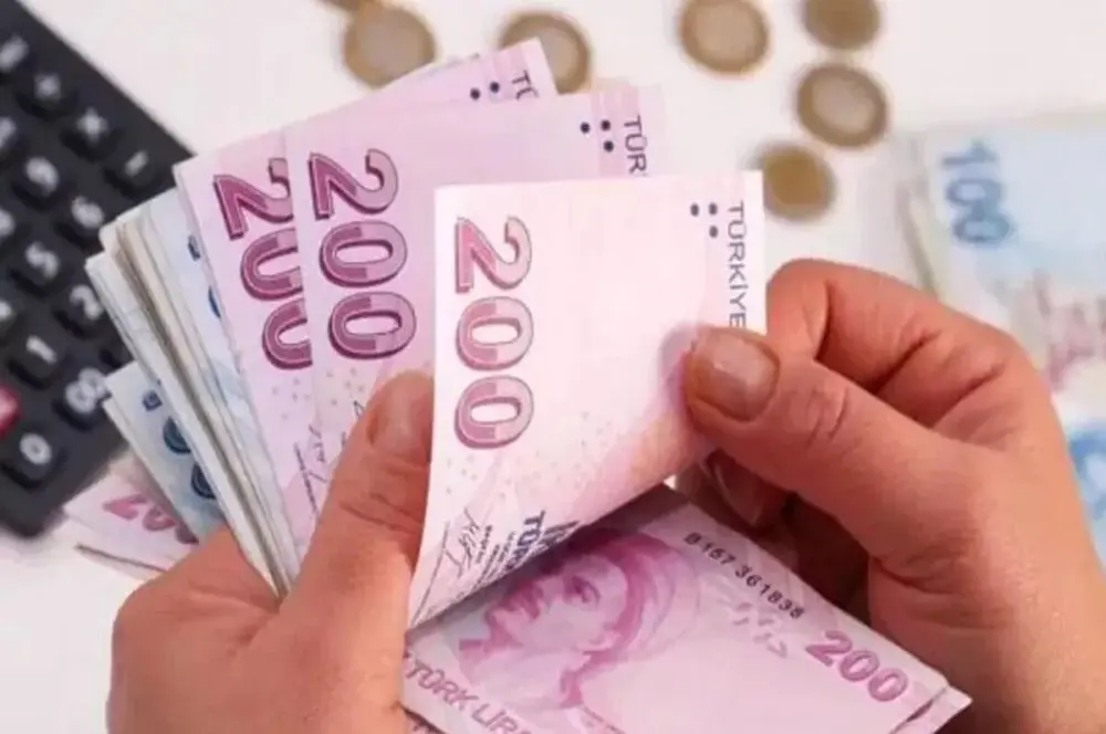 BES'e yıl sonuna kadar 1 milyon yeni katılımcı bekleniyor BES'e yıl sonuna kadar 1 milyon yeni katılımcı bekleniyor