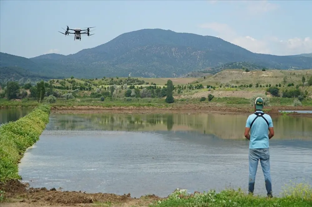 Pirinçte marka olan Osmancık'ta çeltik ekiminde maliyet dronla düşürülüyor Pirinçte marka olan Osmancık'ta çeltik ekiminde maliyet dronla düşürülüyor