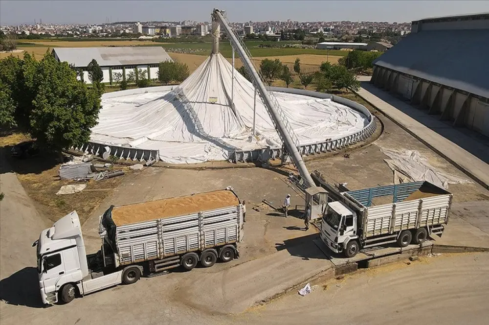 TMO'nun günlük hububat alım kapasitesi 160 bin tona ulaştı TMO'nun günlük hububat alım kapasitesi 160 bin tona ulaştı
