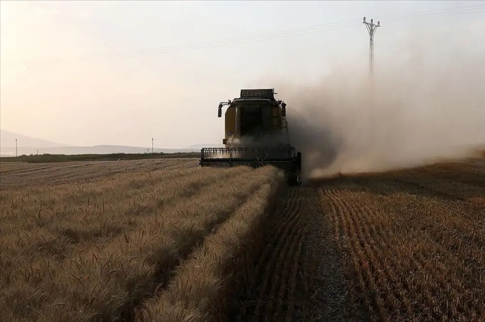 Tarımsal destekleme ödemesi çitçilerin hesaplarına bugün yatırılacak Tarımsal destekleme ödemesi çitçilerin hesaplarına bugün yatırılacak