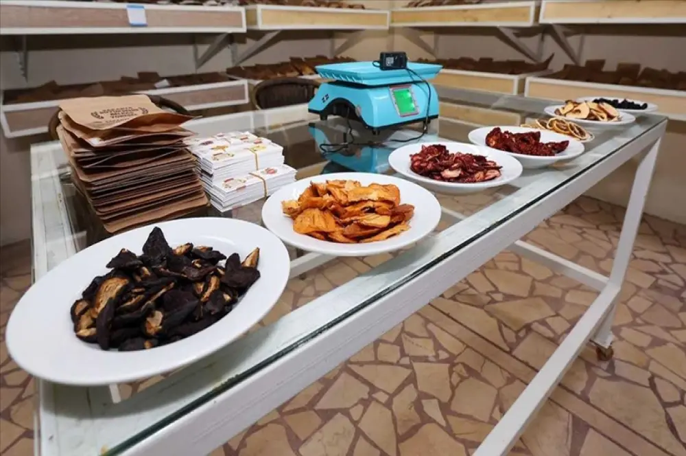Sakarya'da yıllık 10 bin ton kurutulmuş meyve ve sebze üretimi hedefleniyor Sakarya'da yıllık 10 bin ton kurutulmuş meyve ve sebze üretimi hedefleniyor