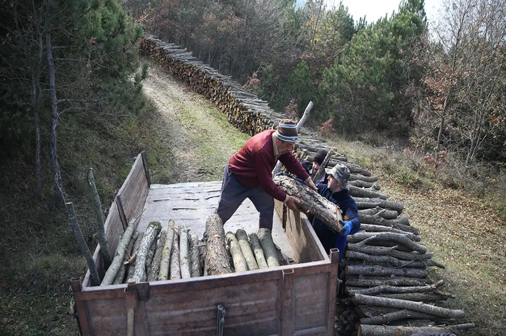 Orman köylülerine afet kararı Orman köylülerine afet kararı