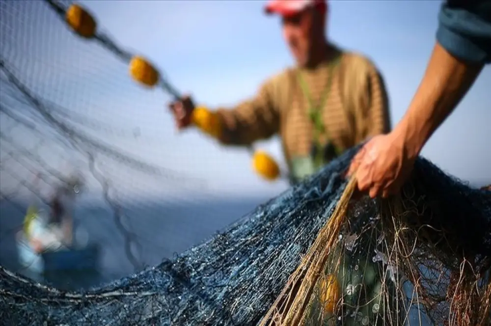 FAO ile Tarım ve Orman Bakanlığı balıkçılık turizmine destek için biraraya geldi FAO ile Tarım ve Orman Bakanlığı balıkçılık turizmine destek için biraraya geldi
