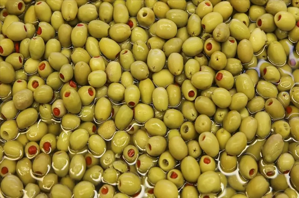 Türkiye'nin sofralık zeytin ihracatı 184,5 milyon doları buldu Türkiye'nin sofralık zeytin ihracatı 184,5 milyon doları buldu