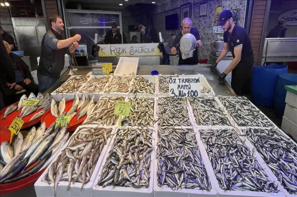 Trabzon'da hamsinin 3 kilogramı 100 liradan satılıyor Trabzon'da hamsinin 3 kilogramı 100 liradan satılıyor