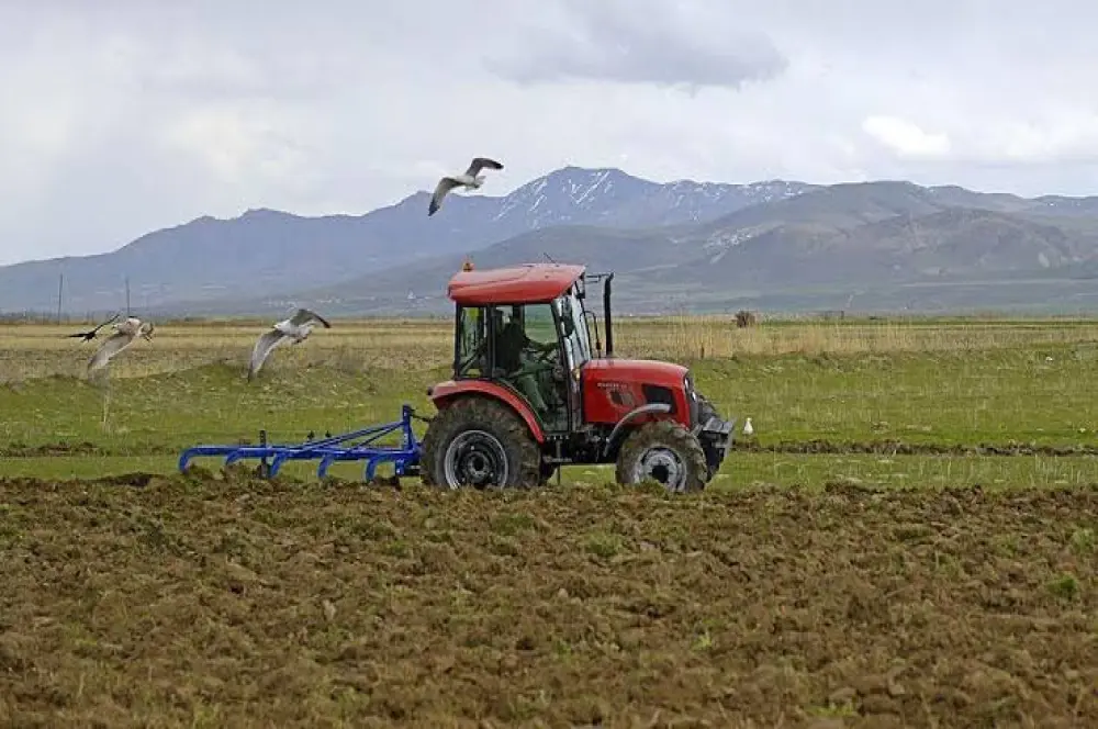 Çiftçilere 169 milyon liralık tarımsal destekleme ödemesi bugün yapılacak Çiftçilere 169 milyon liralık tarımsal destekleme ödemesi bugün yapılacak