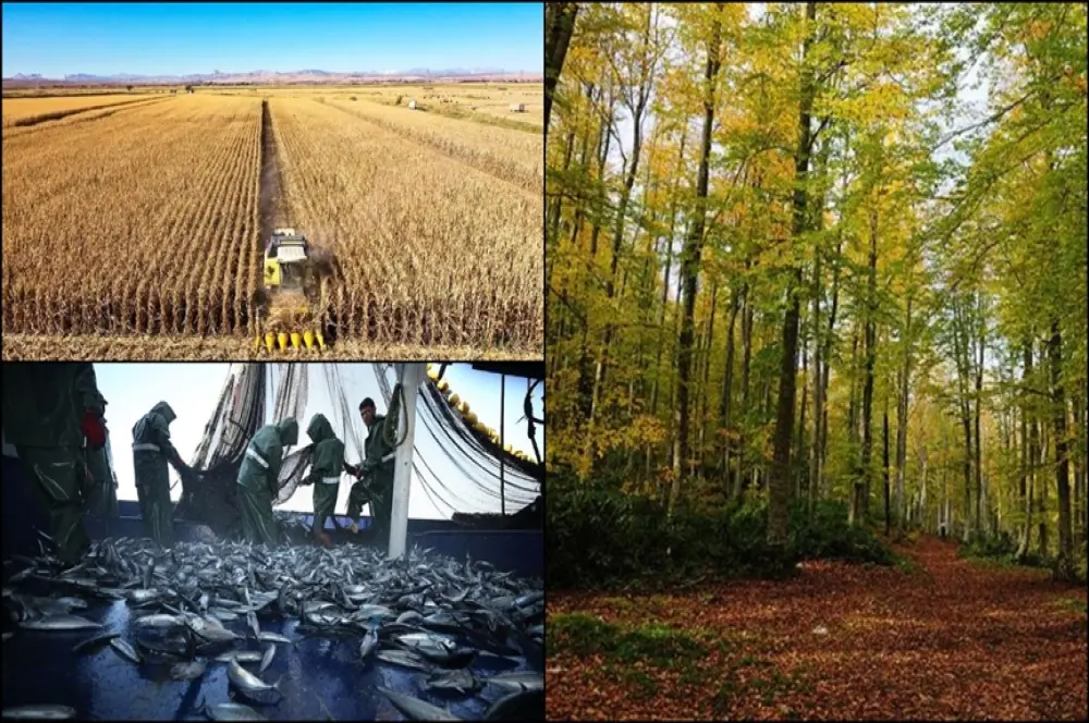 Birleşme ve devralmalarda ‘tarım, ormancılık ve balıkçılık’ öne çıktı Birleşme ve devralmalarda ‘tarım, ormancılık ve balıkçılık’ öne çıktı