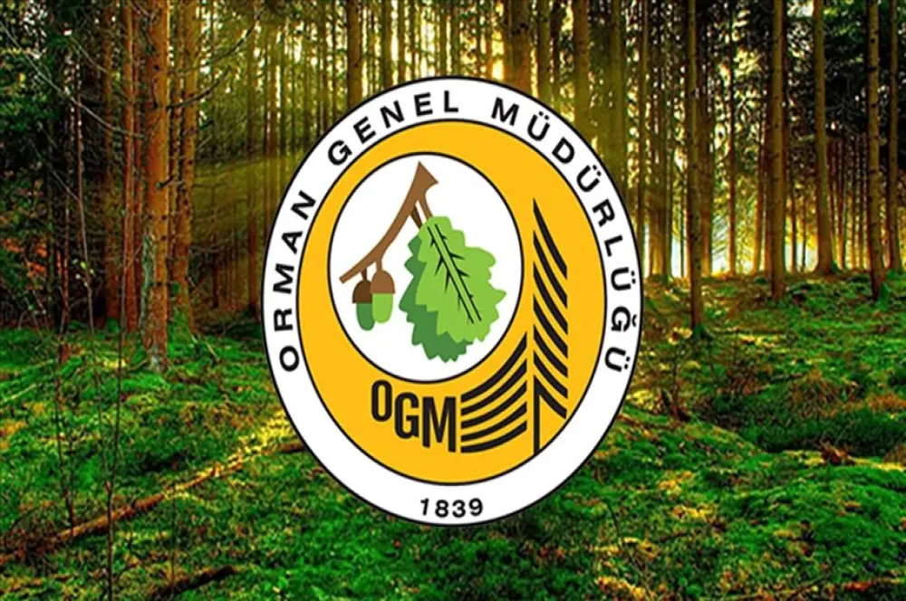 Orman Genel Müdürlüğünün döner sermayesi 1 milyar liraya çıkarıldı Orman Genel Müdürlüğünün döner sermayesi 1 milyar liraya çıkarıldı