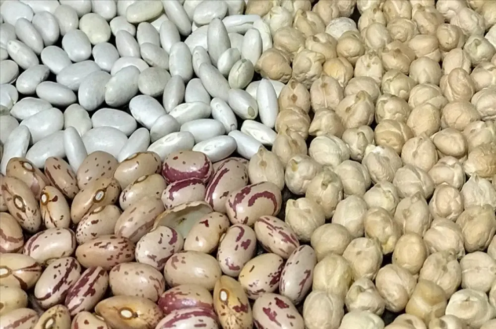 Hububat, bakliyat ve yağlı tohumda Ege'den 1.2 milyar dolar ihracat hedefi Hububat, bakliyat ve yağlı tohumda Ege'den 1.2 milyar dolar ihracat hedefi