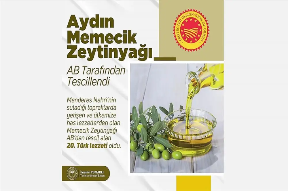 AB'den coğrafi işaret tescili alan zeytinyağı sayımız 3'e ulaşmış oldu AB'den coğrafi işaret tescili alan zeytinyağı sayımız 3'e ulaşmış oldu