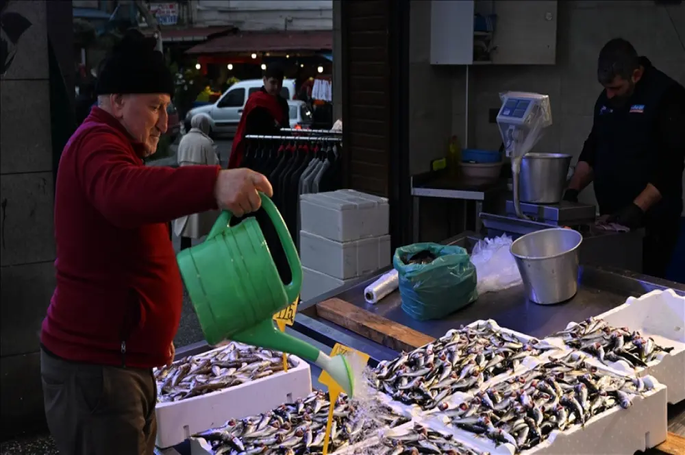 Trabzon'da istavritin 3 kilogramı 100 liradan satışa sunuluyor Trabzon'da istavritin 3 kilogramı 100 liradan satışa sunuluyor