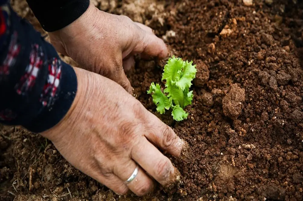 Tarımda Kadın Emeği Zirvesi yarın başlayacak Tarımda Kadın Emeği Zirvesi yarın başlayacak