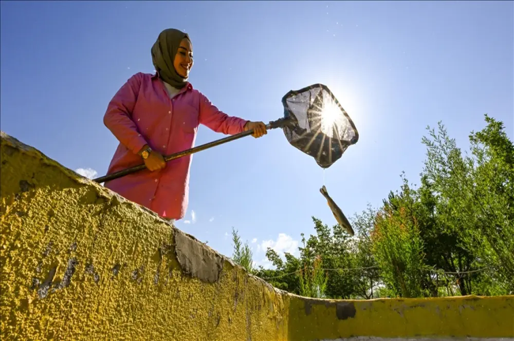 KOSGEB, bu yıl 8 binden fazla kadının işletme kurmasını destekleyecek KOSGEB, bu yıl 8 binden fazla kadının işletme kurmasını destekleyecek