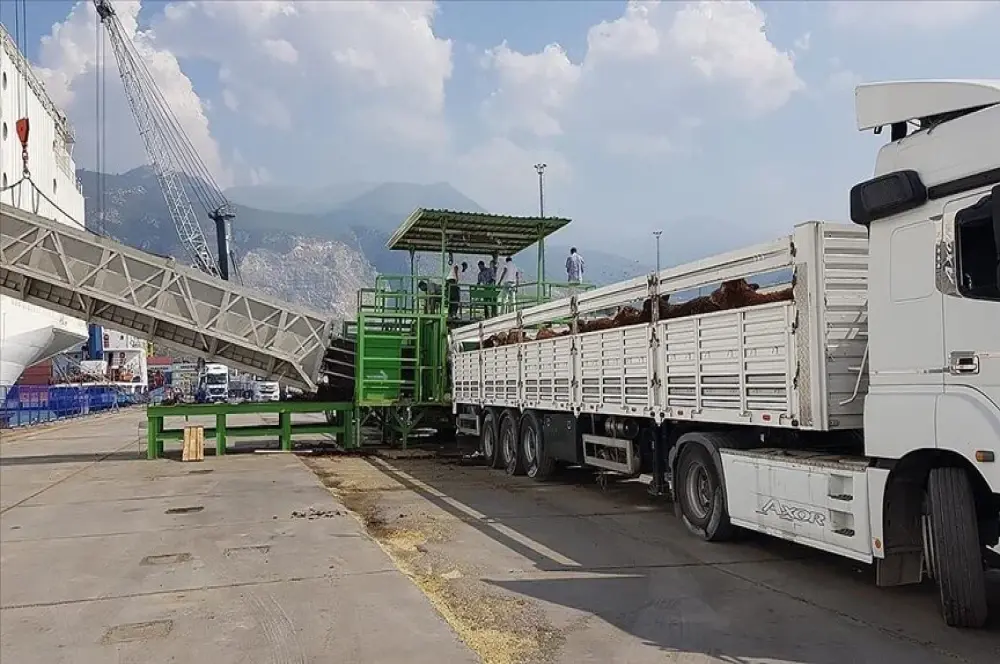 Canlı hayvan ithalat sertifikalarına ilişkin düzenlemenin uygulaması ertelendi Canlı hayvan ithalat sertifikalarına ilişkin düzenlemenin uygulaması ertelendi