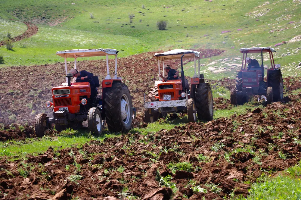 Çiftçilere 2.5 milyar lira tarımsal destekleme ödemesi bugün yapılacak Çiftçilere 2.5 milyar lira tarımsal destekleme ödemesi bugün yapılacak