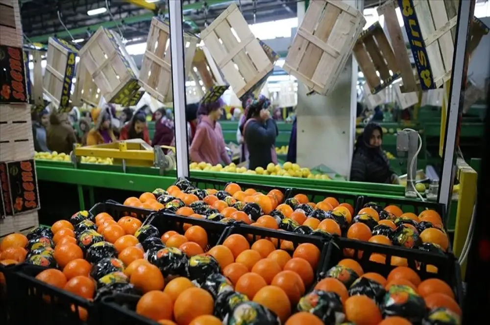 Tarımdan ihracatta ilk çeyrek rekoru Tarımdan ihracatta ilk çeyrek rekoru
