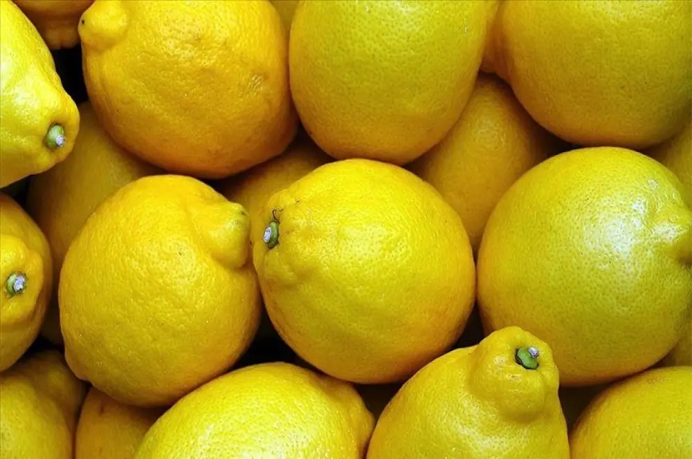 Yasaklı madde tespit edilen limonlarla ilgili soruşturma başlatıldı Yasaklı madde tespit edilen limonlarla ilgili soruşturma başlatıldı
