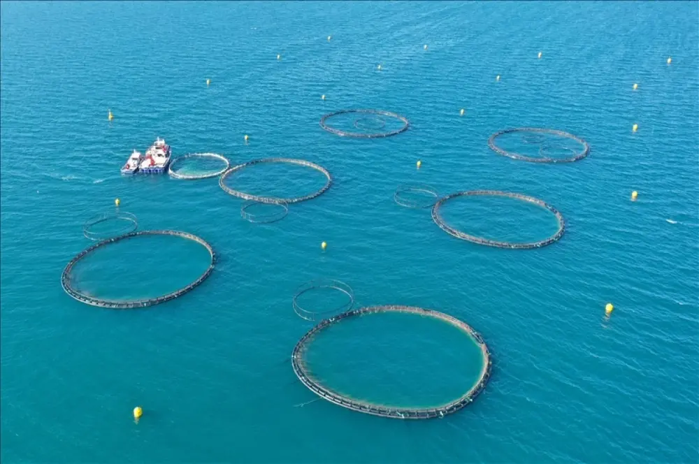 Su ürünleri yetiştiriciliği kriterlerinde düzenlemeye gidildi Su ürünleri yetiştiriciliği kriterlerinde düzenlemeye gidildi