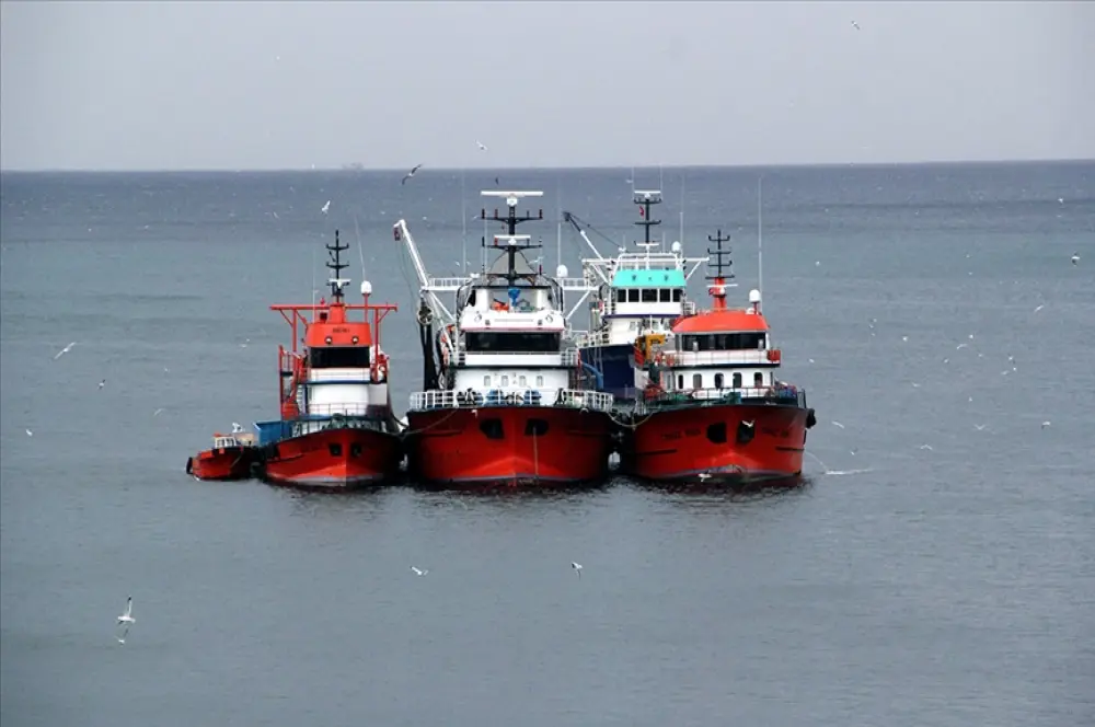 Hamsi avcılığı için izin alma süresi 6 Eylül'de doluyor: Balıkçılara son çağrı Hamsi avcılığı için izin alma süresi 6 Eylül'de doluyor: Balıkçılara son çağrı