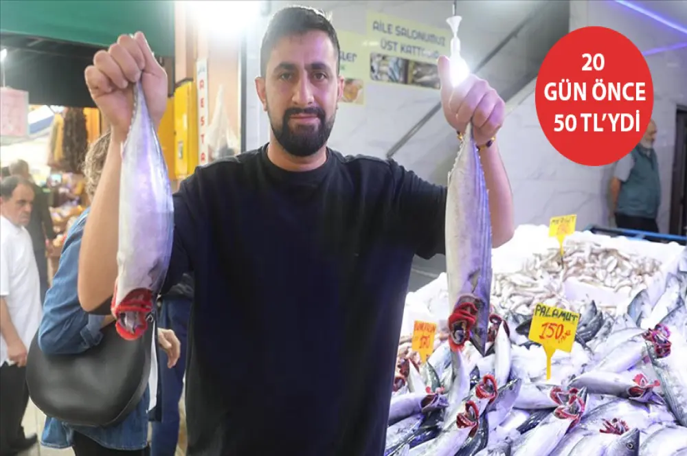 Olumsuz hava, tezgahı da vurdu. Palamutun tanesi 150 liraya çıktı! Olumsuz hava, tezgahı da vurdu. Palamutun tanesi 150 liraya çıktı!