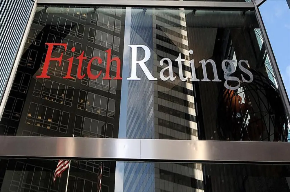 Fitch Ratings, ECB'nin faiz indirim hızını artırmasını bekliyor Fitch Ratings, ECB'nin faiz indirim hızını artırmasını bekliyor