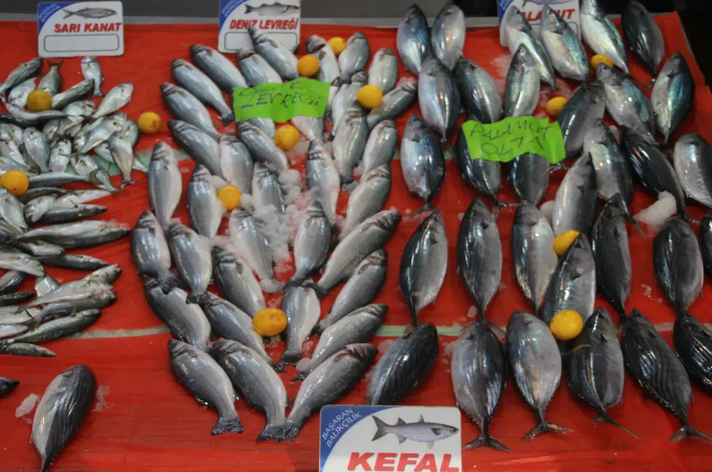 Hava şartları nedeniyle avcılık azaldı, balık fiyatları arttı Hava şartları nedeniyle avcılık azaldı, balık fiyatları arttı