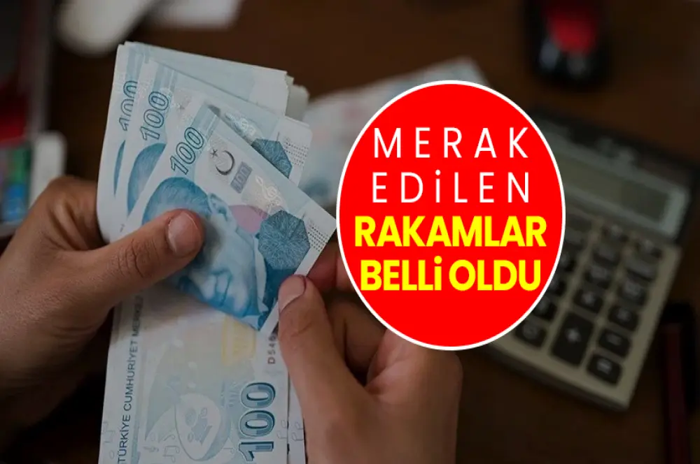 Ocak 2025 kök maaş zammı ve en düşük emekli maaşı için en güçlü senaryo! Ocak 2025 kök maaş zammı ve en düşük emekli maaşı için en güçlü senaryo!