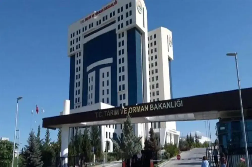 Bakanlık listeyi yeniledi: İşte sağlığı tehlikeye düşürebilecek gıdalar Bakanlık listeyi yeniledi: İşte sağlığı tehlikeye düşürebilecek gıdalar