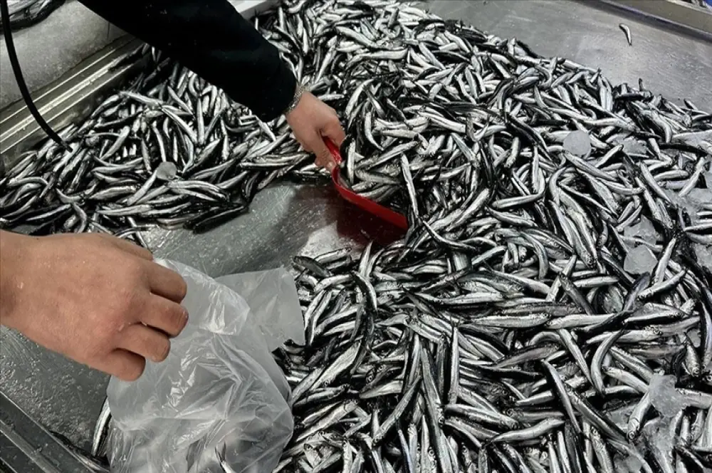 Denizlerde 144 bin denetimi yapıldı, 55 milyon lira ceza kesildi Denizlerde 144 bin denetimi yapıldı, 55 milyon lira ceza kesildi