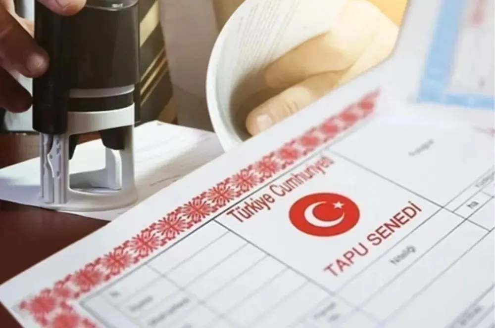 SON DAKİKA: 2025 noter ücretleri belli oldu! İşte yeni vekalet ücreti dahil tüm hesaplar SON DAKİKA: 2025 noter ücretleri belli oldu! İşte yeni vekalet ücreti dahil tüm hesaplar