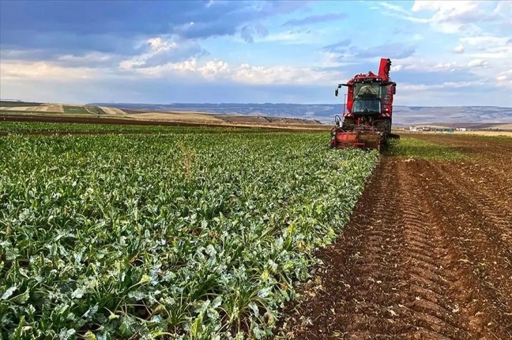 Tarımsal destek ödemesi için kritik tarih belli oldu! Tarımsal destek ödemesi için kritik tarih belli oldu!