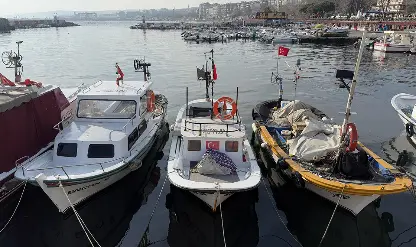 Tekirdağlı balıkçılar yeni yılda hamsi ve çinekoptan umutlu Tekirdağlı balıkçılar yeni yılda hamsi ve çinekoptan umutlu