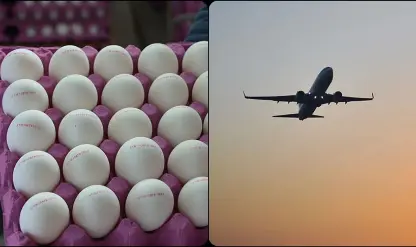 Aralık 2024'te fiyatı en fazla artan ürün "yumurta", en çok düşen "hava yoluyla yolcu taşımacılığı" oldu Aralık 2024'te fiyatı en fazla artan ürün "yumurta", en çok düşen "hava yoluyla yolcu taşımacılığı" oldu