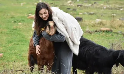 Üniversitede hazırladığı tezden etkilenen genç girişimci çiftlik kurdu Üniversitede hazırladığı tezden etkilenen genç girişimci çiftlik kurdu