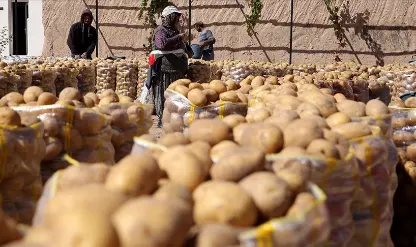 SON DAKİKA: Patates ve soğan için yeni standartlar belirlendi! Resmi Gazete'de yayımlandı