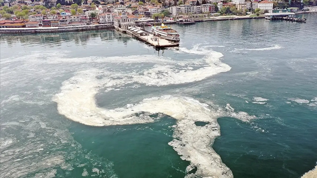Marmara Denizi'ndeki müsilajın nedeni Nilüfer Çayı çıktı Marmara Denizi'ndeki müsilajın nedeni Nilüfer Çayı çıktı