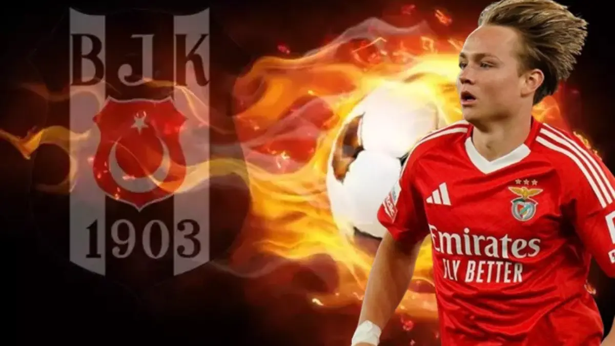 SON DAKİKA BEŞİKTAŞ TRANSFER HABERLERİ: Solskajer Benfica'nın yıldızını istiyor! Piyasa değeri 10 milyon Euro SON DAKİKA BEŞİKTAŞ TRANSFER HABERLERİ: Solskajer Benfica'nın yıldızını istiyor! Piyasa değeri 10 milyon Euro