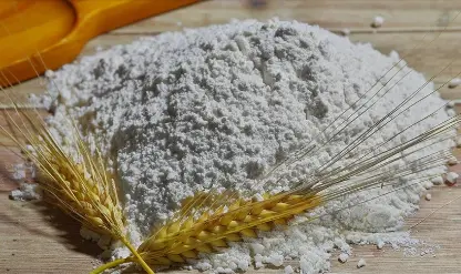Türk un sektörü Antalya'da buluşacak